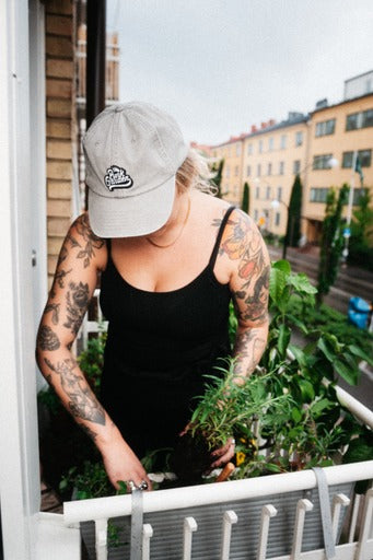 Cap Low Profile Grey Vintage