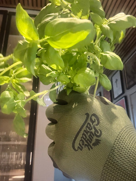 Garden gloves