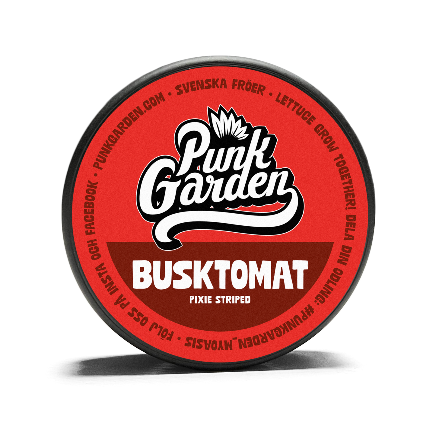 Busktomat Pixie Striped