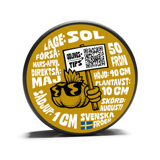 Yellow onion - Laaer