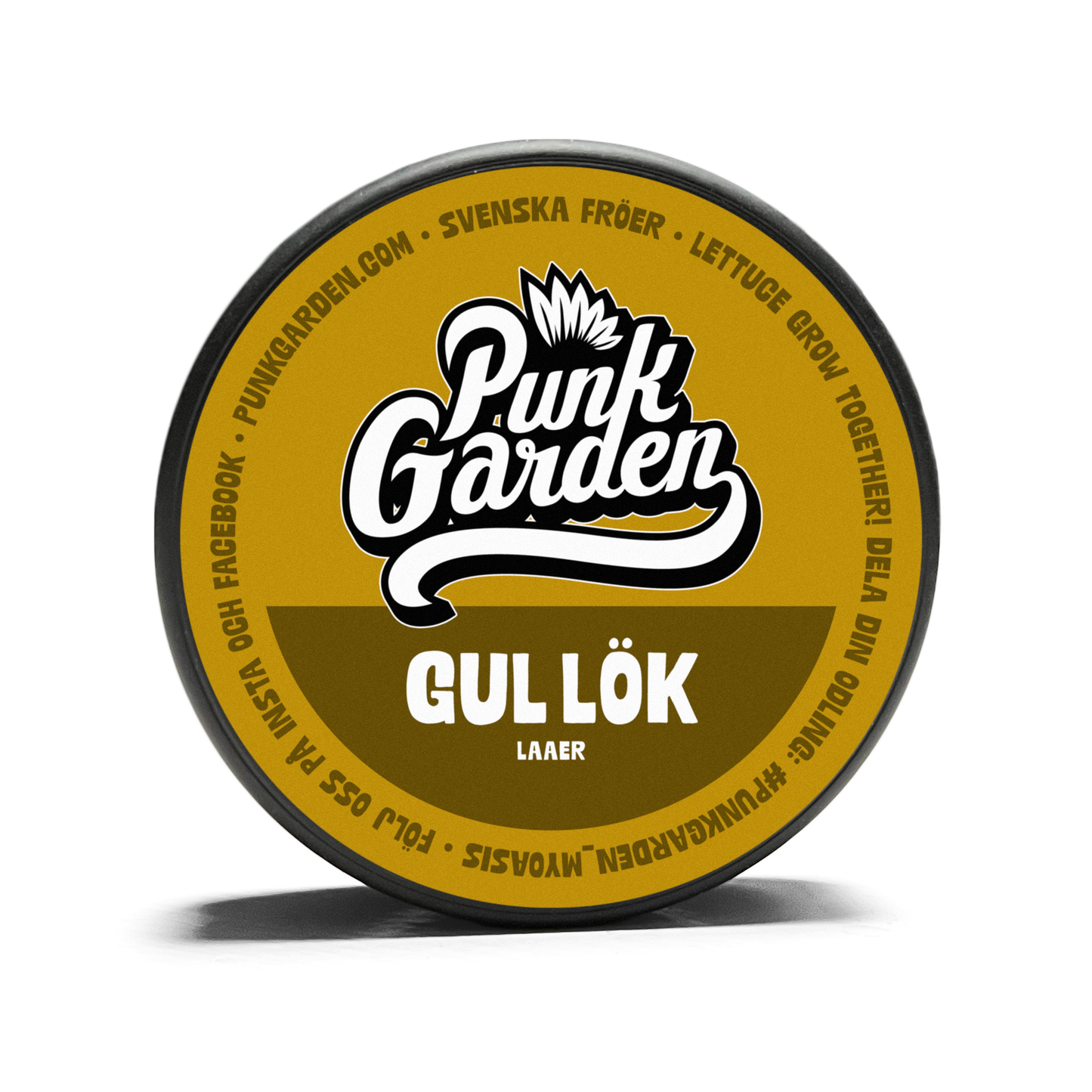 Gul lök Laaer
