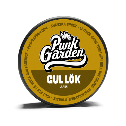 Yellow onion - Laaer