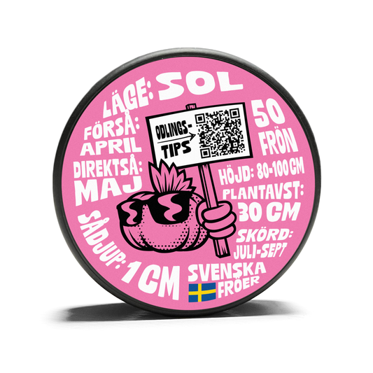 Sunflower - Peredovick