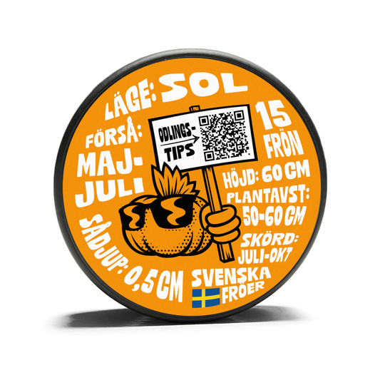 Physalis - Goldenberry