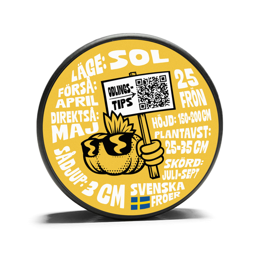 Sunflower - Peredovick