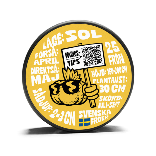 Sunflower - Peredovick