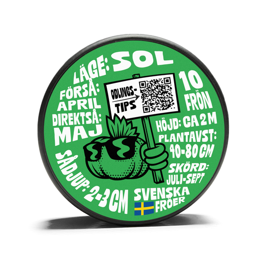 Winter Squash - Honey Boat