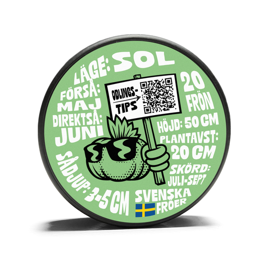 Vaxböna Rocquencourt