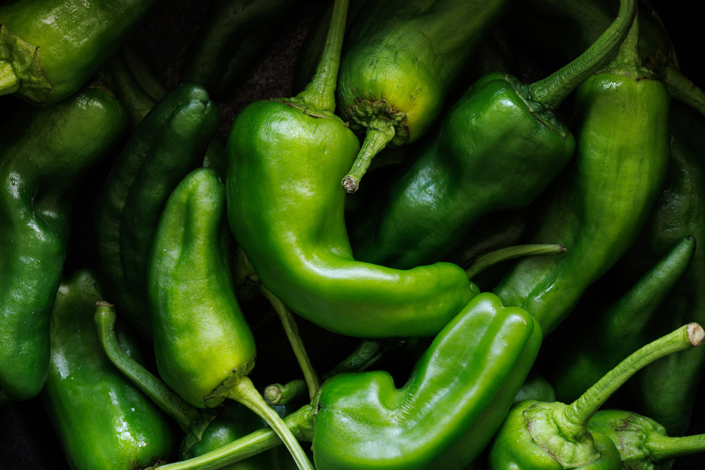 Chili Padron