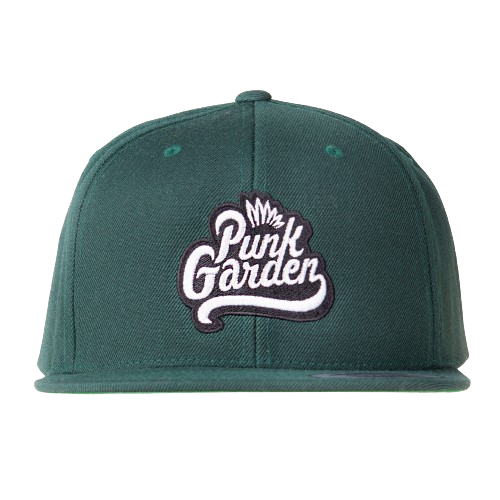 Keps Flexfit Classic Snapback - Grön