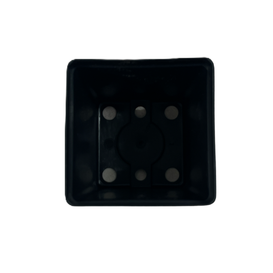 Kruka fyrkantig 10-pack