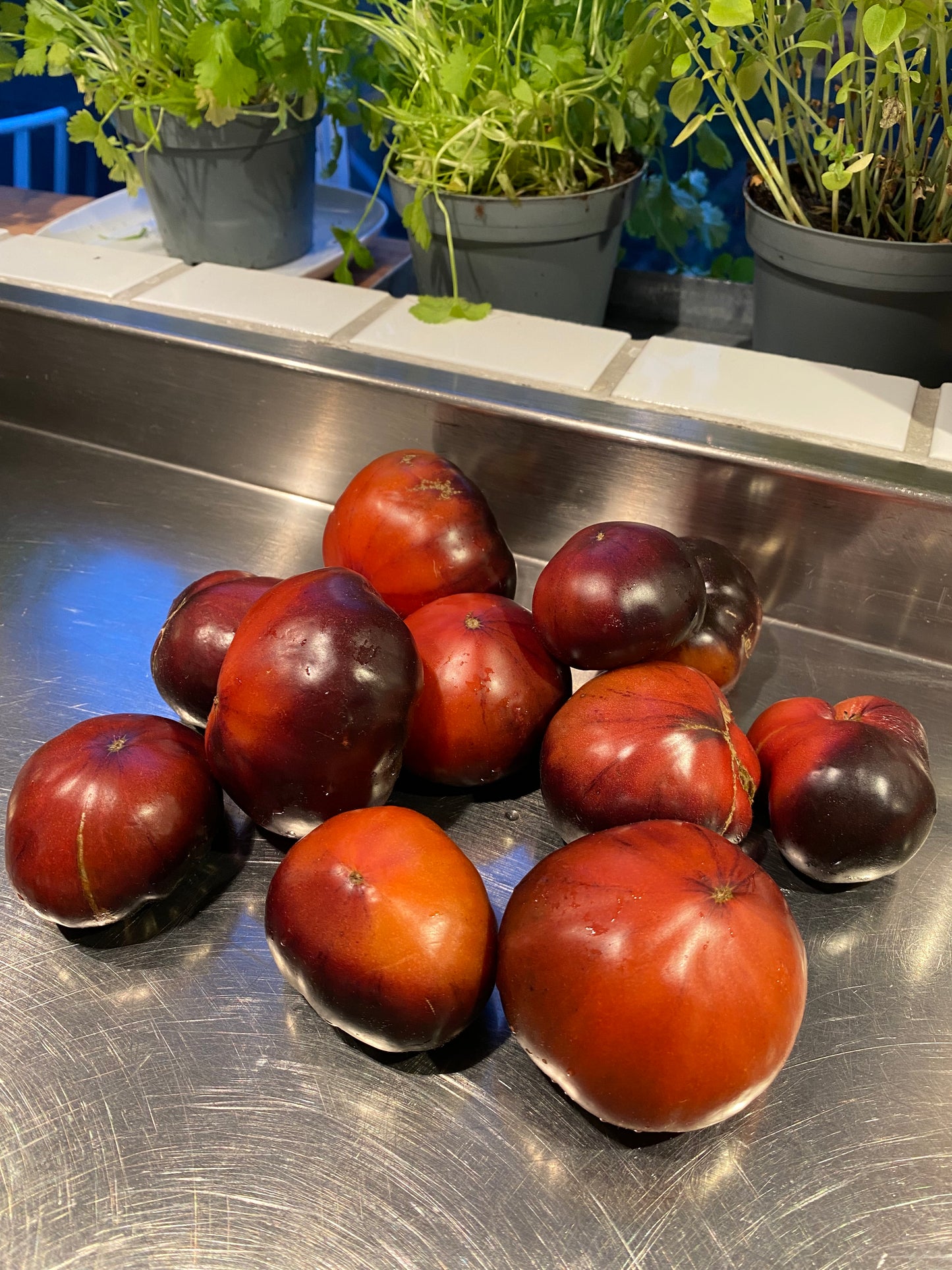 Tomato Black Brandywine