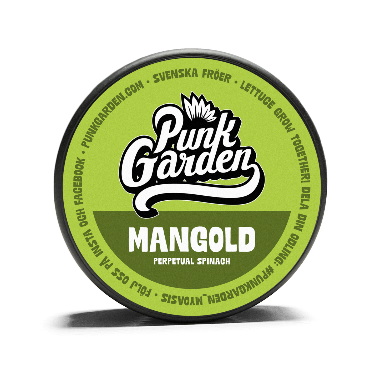 Spenat Mangold