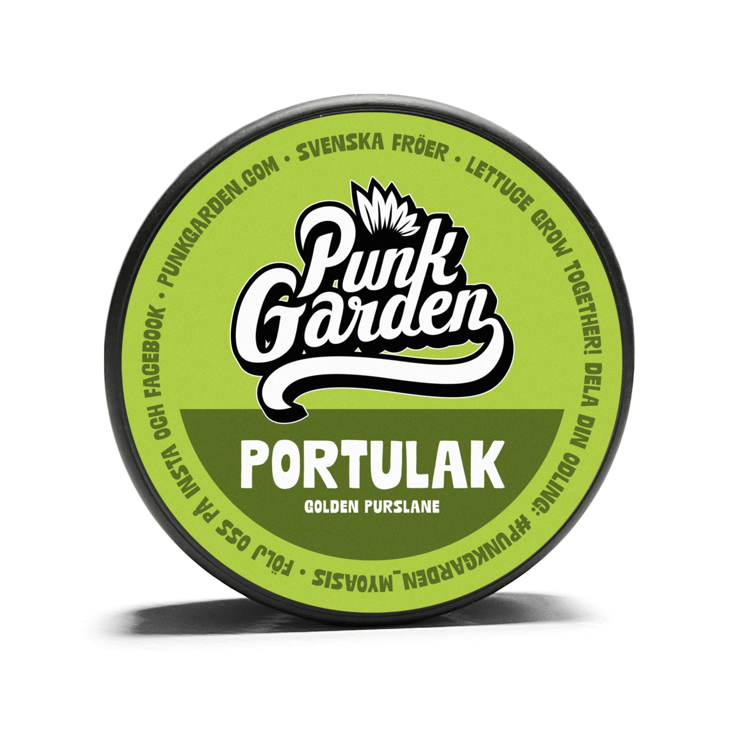 Sallad Portulak