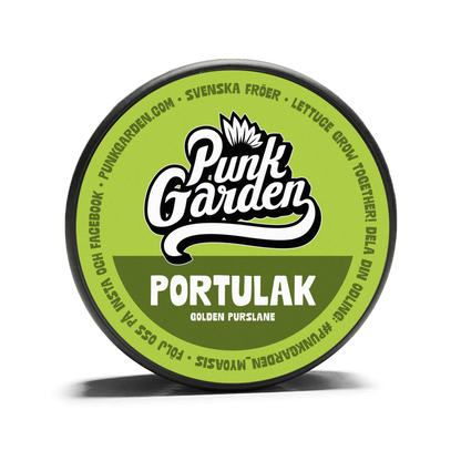 Sallad Portulak