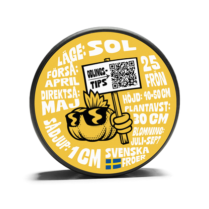 Solros Sunspot
