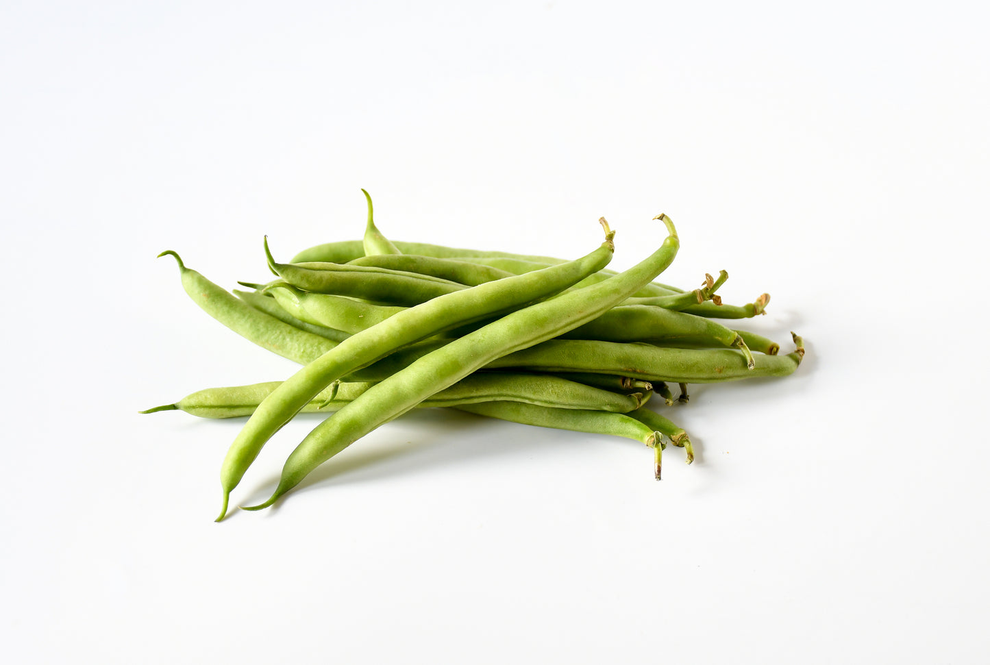 Brytböna Allegria