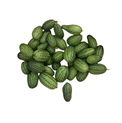 Mexican sour gherkin