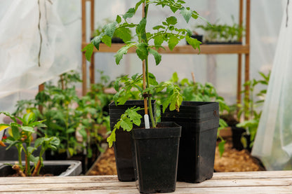 Kruka fyrkantig hög