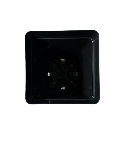 Kruka fyrkantig hög