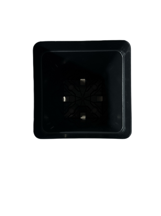 Kruka fyrkantig låg