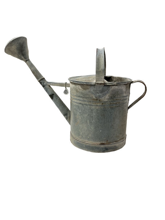 Water jug ​​medium