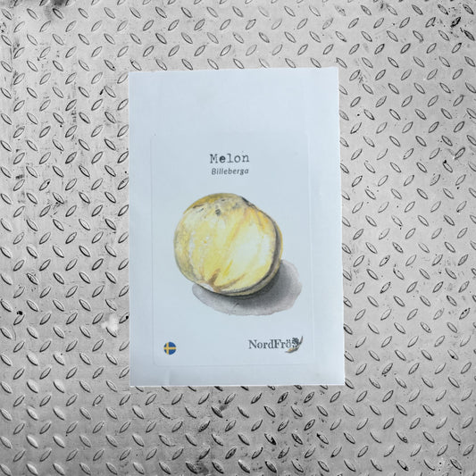Melon Billeberga