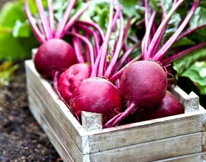 Beetroot - Forono