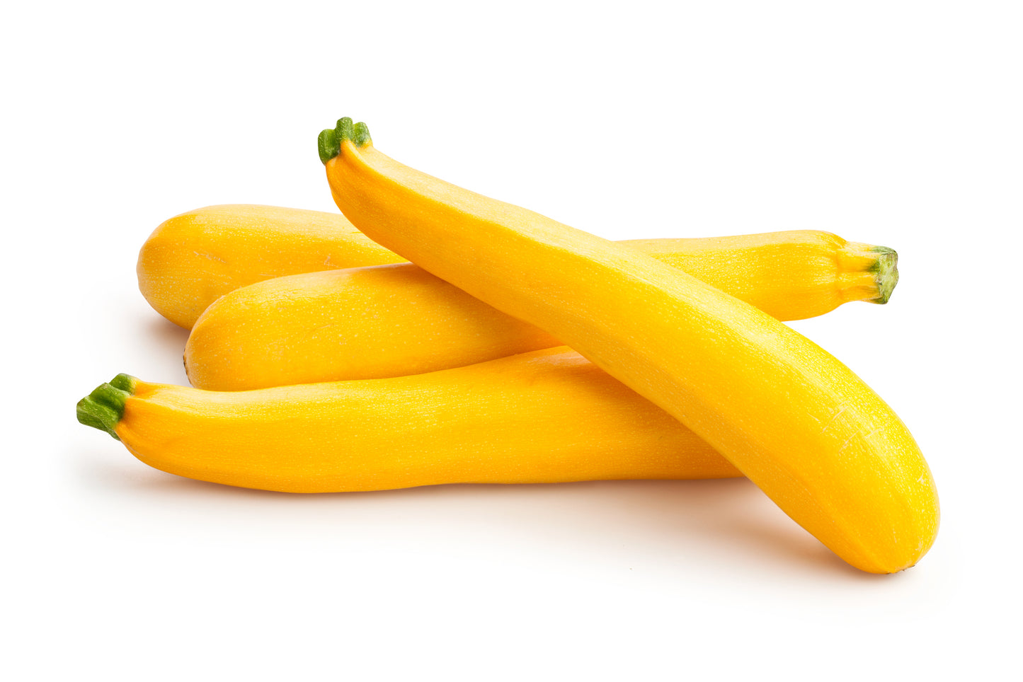 Sommarsquash Yellow Straightneck